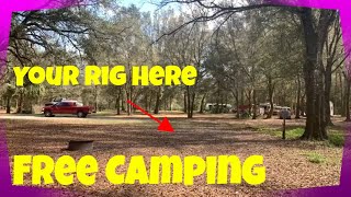 Free Camping in Florida at Hampton Tract