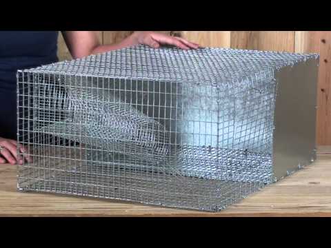 Quail Pen Recovery Trap