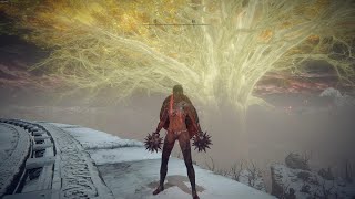 Elden ring level 1 but it made me rethink this whole challange!