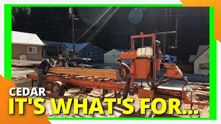 Sawmill in Action Milling Western Red Cedar!