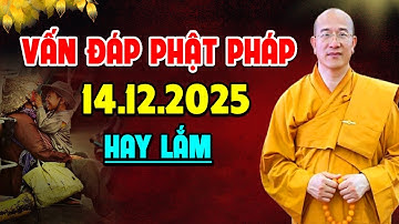 Vấn Đáp Phật Pháp Ngày 14.12.2025 l Thầy Thích Trúc Thái Minh
