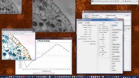 Z Tracking with ASIs XYZ Tracker Plugin for MicroManager (#2)