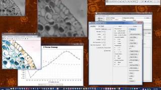 Z Tracking with ASIs XYZ Tracker Plugin for MicroManager (#2)