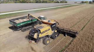 Oat Harvest 2019 | Schwarz Farms | Manitoba, Canada