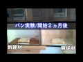 健康住宅の作り方 　冷え性の方に必見！　自然の無垢の木の凄さとは？