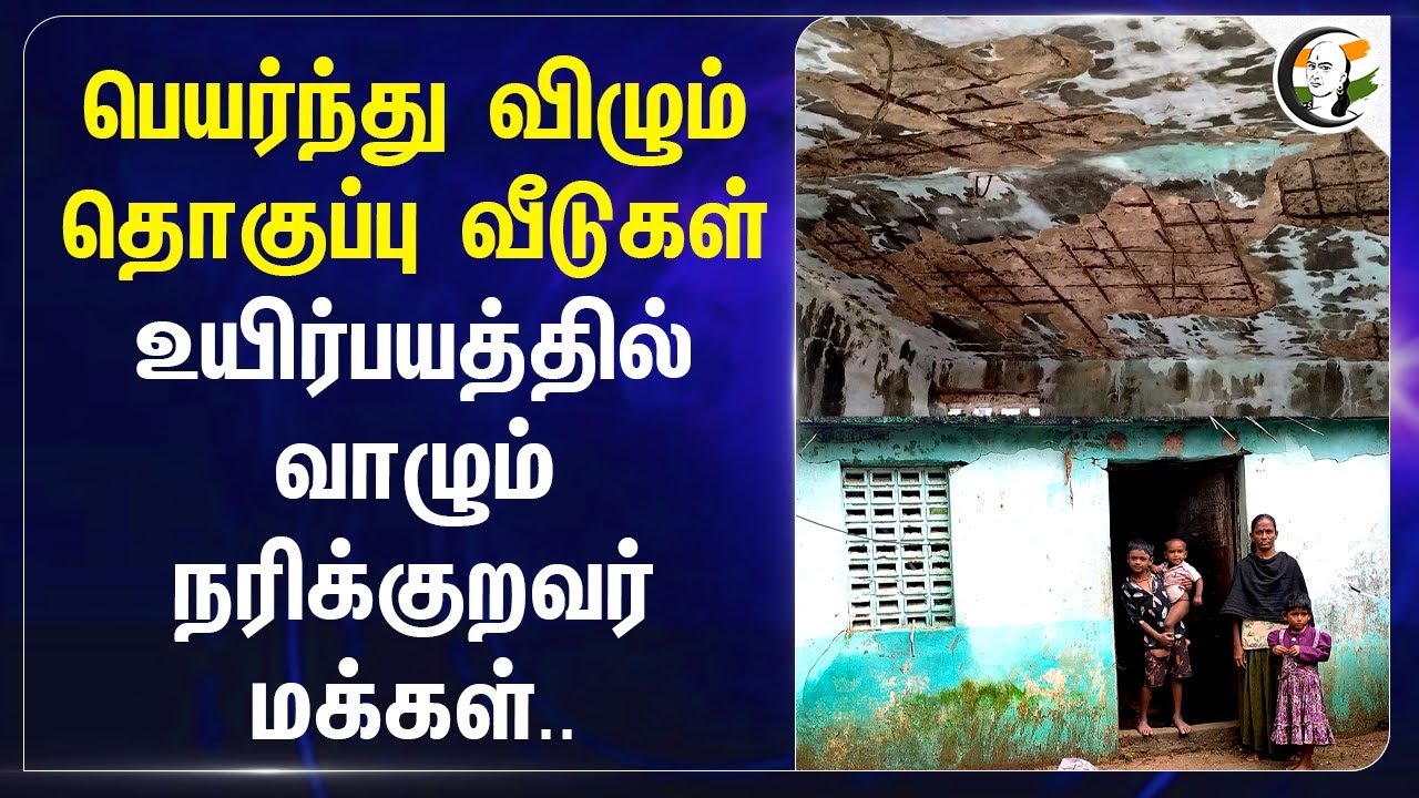 பெயர்ந்து விழும் தொகுப்பு வீடுகள்! உயிர்பயத்தில் வாழும் நரிக்குறவர் மக்கள்.. கவனிக்குமா TN Govt?