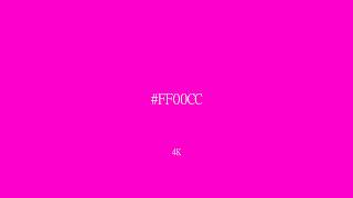Laser Pink Screen 1 Hour 4K | Bright Magenta (#FF00CC)