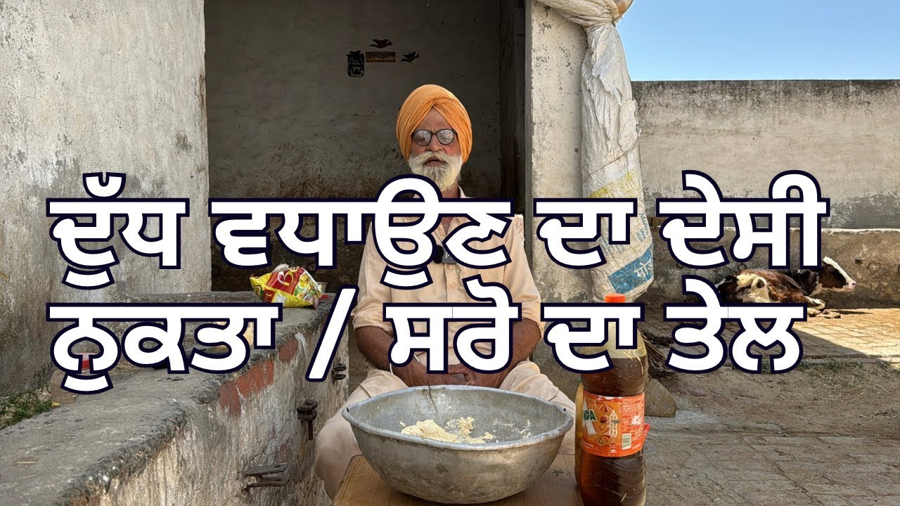 ਦੁੱਧ ਵਧਾਉਣ ਦਾ ਦੇਸੀ ਨੁਕਤਾ । ਬੇਸਣ, ਧਾਗਾ ਮਿਸ਼ਰੀ,