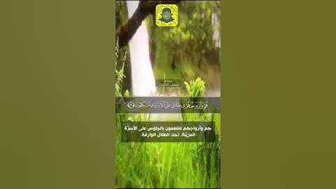 حالات واتس اب قران كريم  ❣القارئ يوسف ابكر  حالات واتس اب دينية❣تلاوة مؤثرة360P 1