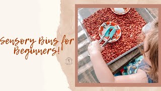 How to Make a Sensory Bin! Sensory Bin Basics