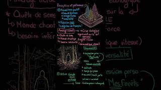 Hélène Dorion, Mes forêts : Réception et Pertinence de lœuvre #français #booktube #bacdefrançais
