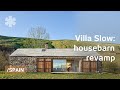 Exploring the Tranquility of Vilas Low