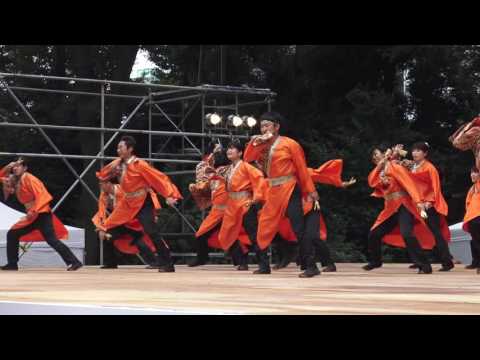 乱舞姫（2016スーパーよさこい・文化館ステージ 2日目）