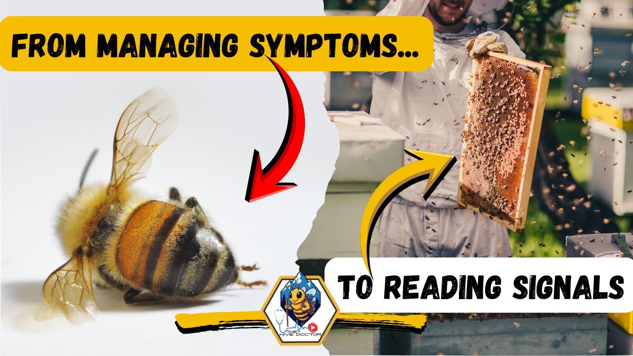 Почему пчеловодство ломает людей