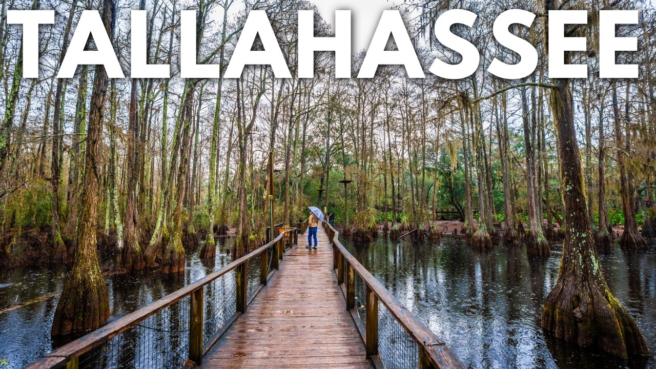 24 Hours in Tallahassee, Florida: What to Do, See & Eat - YouTube