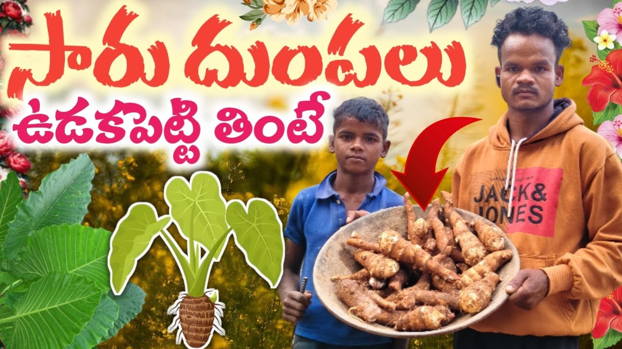 సారు దుంపలు :- Fermented beets🍒🍒