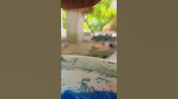 #egzonibrahimi #سورة_الإخلاص #foryou #nature #lifeisbutadream #automobile #haveitoldyoulatelythatilo