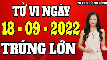 Tử vi hôm nay chủ nhật ngày 18/9/2022 của 12 con giáp - Tử Vi Phương Đông
