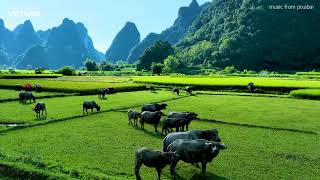 The beautiful countryside of Vietnam