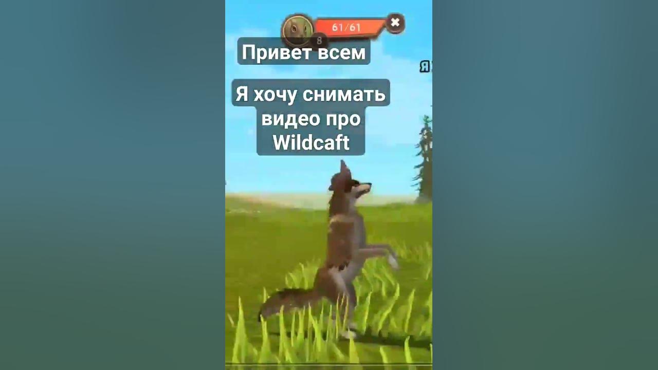 аллала - YouTube