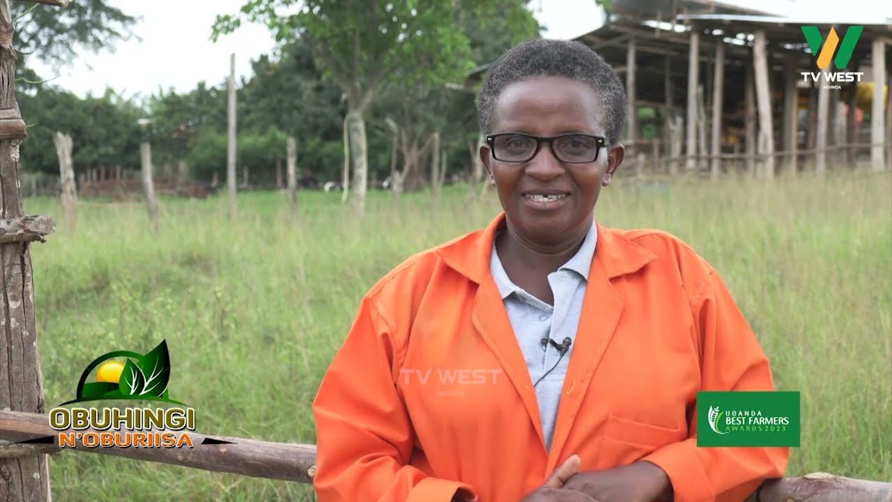 Obuhingi N'oburiisa: Eva Ampaire owa Bampaire Dairy Farm