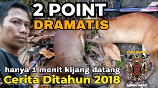 2 Points and 1 Failed Shoot in Kalimantan Forest Deer Hunting and Stories from 2018