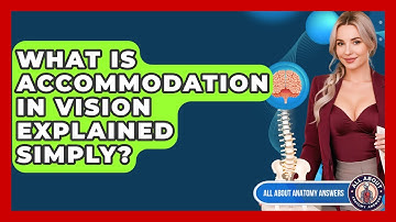 What Is Accommodation In Vision Explained Simply? - All About Anatomy Answers