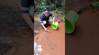 wow&#39;&#39;😲fish collecting&quot;🐬– Came Back with a Surprise!&quot;😲😨#shorts #trending#fishing#fish #food #fishboat