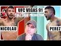 New ufc vegas 91 nicolau vs perez full card predictions and bets
