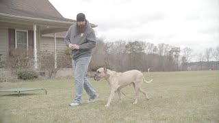 Paid Segment By Delmarva K9