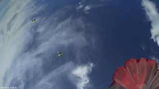 Multiplex Parachutist dropped dropped from FunCub XL RR