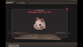 Im Crashing Out TF2 Summer 2025