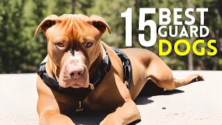 Top 15 Best Guard Dog Breeds to Protect Your House and Family by Wellness for Pets 3,498 views 1 year ago 10 minutes, 52 seconds