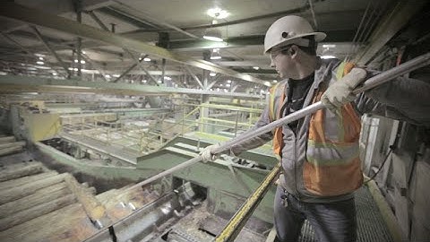 Sawmill operator (Episode 26)