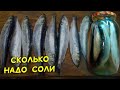 Салака пряного посола. Сколько класть соли