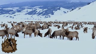 SLEIGH RIDE on the National Elk Refuge | Jackson Hole, Wyoming