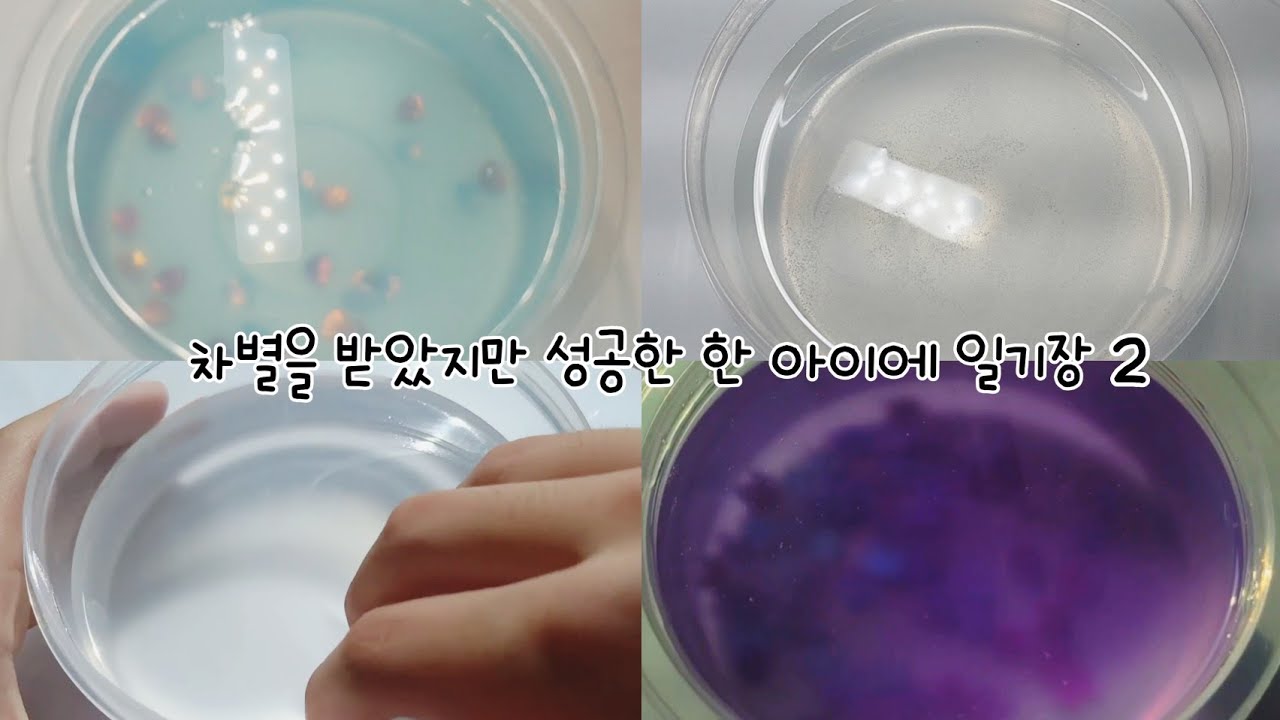 차별을 받았지만 성공한 한 아이에 일기장 2/일기장/뚜리/내영상/미온님 폰트/영상/일기장 액괴/액괴