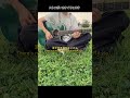 【弾き語り】カナイリョウタ - ストロボ #shorts #selfcover
