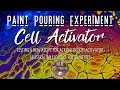Paint Pouring Experiment- Cell Activator: New Recipe For Bloom Activator (Australian Floetrol Alt.)