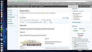 How to Add Multiple Keywords per blog article(wordpress)