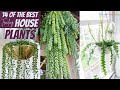 14 of the Best Trailing House Plants | Hanging Indoor Plants