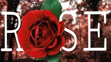 Write Text Behind Object In Mobile | Picsart Trick | Photography Tutorial | Mobile Photography |