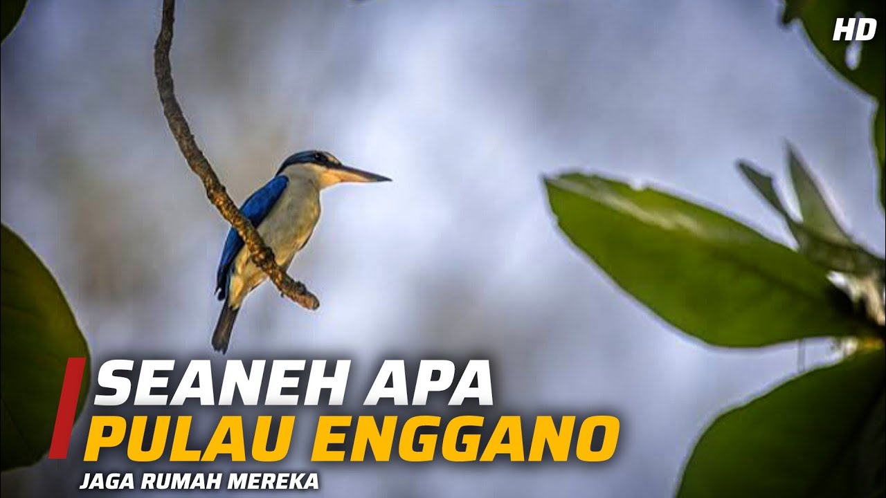 Harta Karun Tersembunyi di Pulau Yang Terpencil: Pulau Enggano!