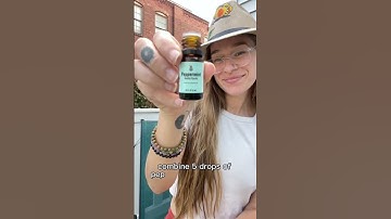 Nontoxic way to keep pesky bugs out of your home #nontoxic #peppermint #insectrepellent