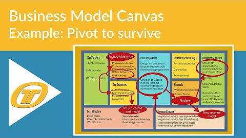 A Business Model Canvas Example: Pivot to survive