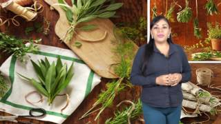 Nutribella - Ventajas De Desintoxicar El Cuerpo Con Verónica Félix