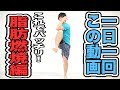 【一日一回この動画】脂肪燃焼エクササイズはこれで決まり！！初級編！
