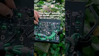 🌾 Garden Rituals with small Bastl #eurorack system 🔮  #bastlinstruments #synth #electronicmusic