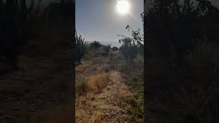 #uzbekistan #forish #qizilqum #bexi #bóg