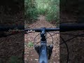 Aroeira - Volta 2 parte 2 #mtb #shorts